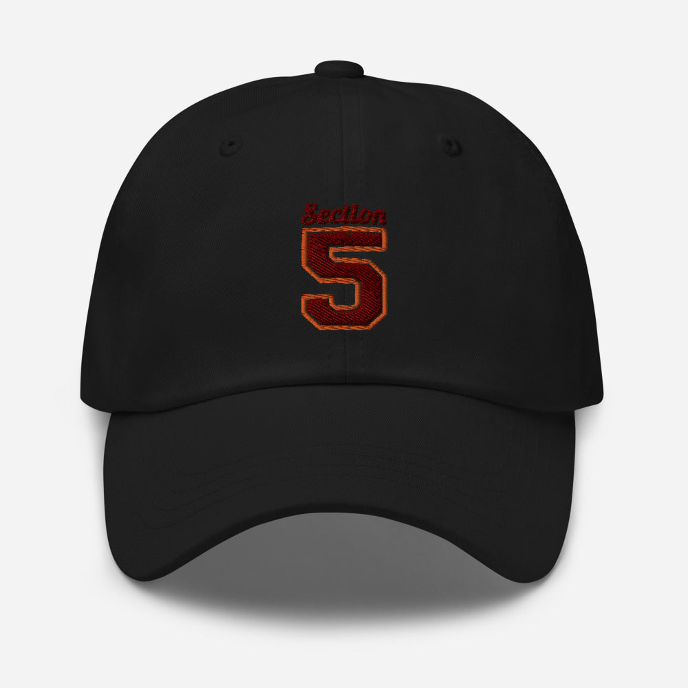SECTION 5 Dad hat