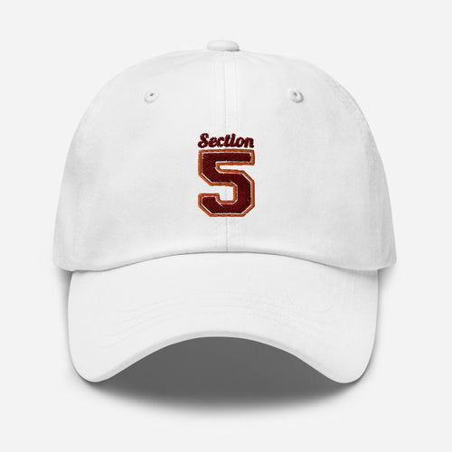 SECTION 5 Dad hat