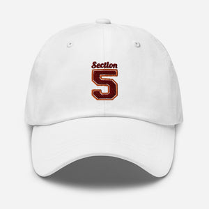 SECTION 5 Dad hat